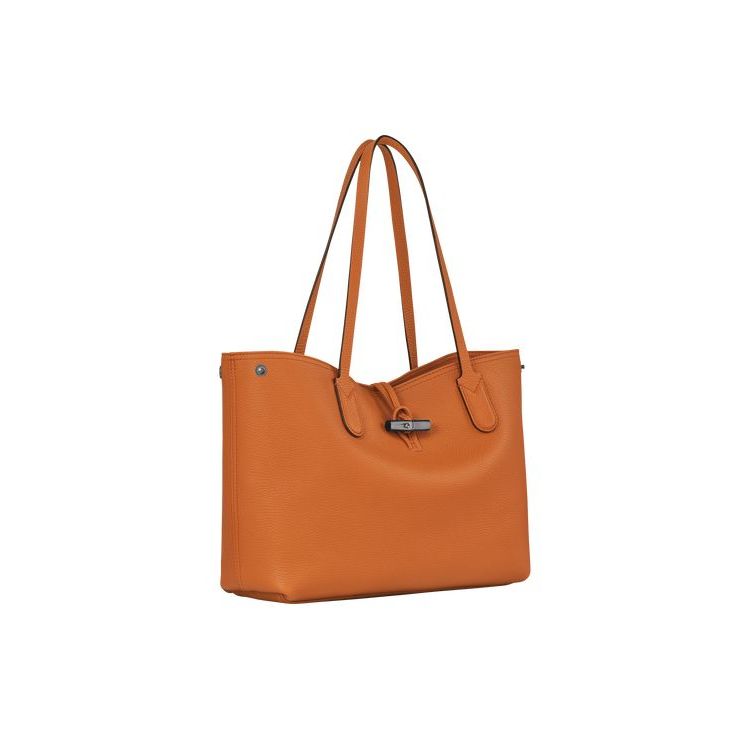 Borse A Tracolla Longchamp Saffron Pelle Arancioni | 24180-DLPN