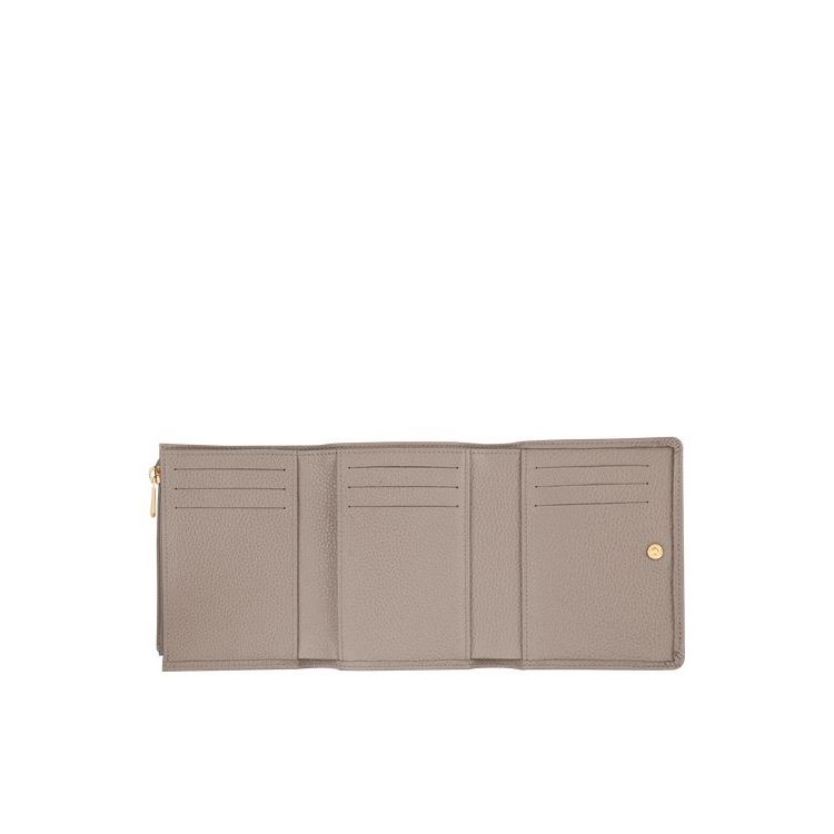 Portafogli Longchamp Turtledove Pelle Grigie | 79016-ZUEI